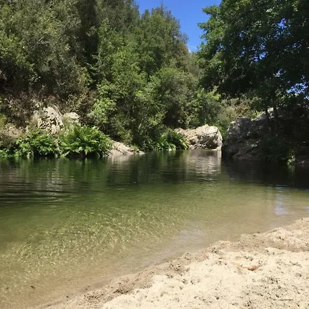 Casetta * Olivese